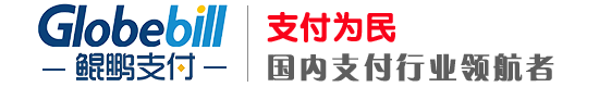 鲲鹏|鲲鹏支付官网