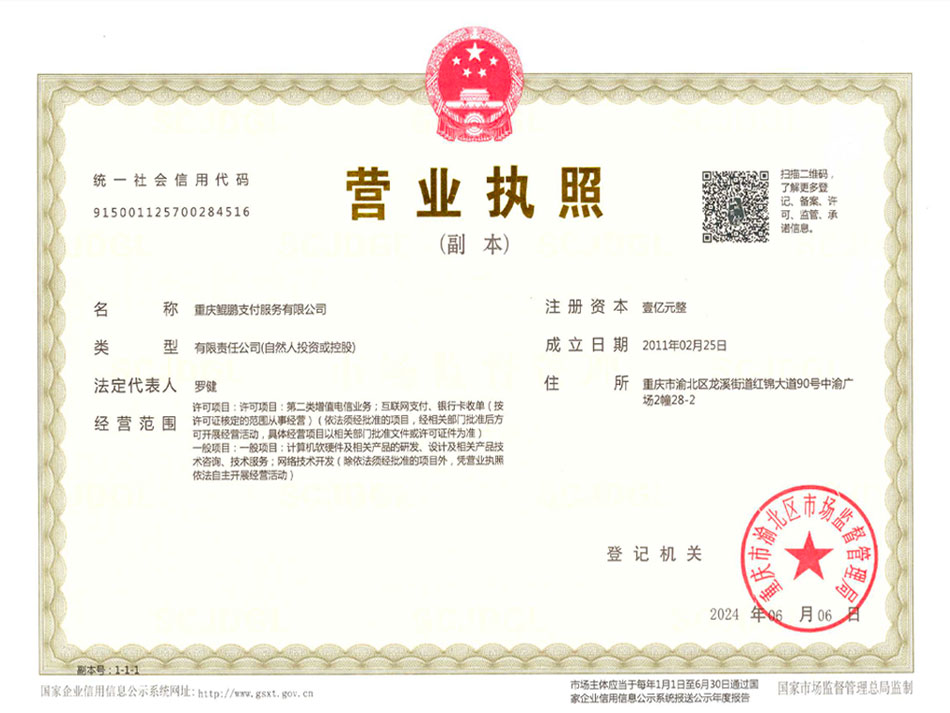 重庆鲲鹏支付服务有限公司营业执照